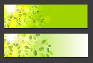 Naklejka na ściany i meble Shiny Spring Natural Leaves Background. Vector Illustration