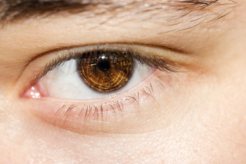 insightful look brown eye