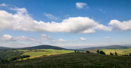 Fototapeta premium Summer landscape with green fields and blue sky