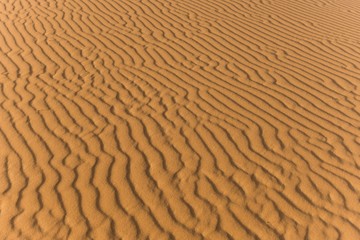 details of sand in the desert