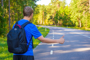 Fototapeta premium back view of man hitchhiking on forest road