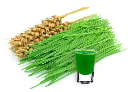 Wheatgrass Juice Isolated On White Background