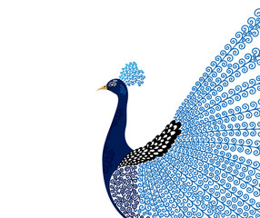 Vector illustration of abstract, stylized, decorative peacock in color, on white background.