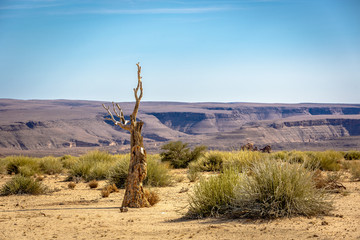 Desert scenario in south Namibia, Africa