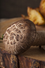 steak sides, champignon mushroom and asparagus served with steak in a meal wooden block plate