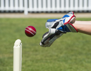 Cricket keeper catches the ball on the field