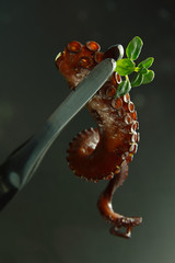 Octopus sushi