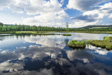 peat-bog Šumava