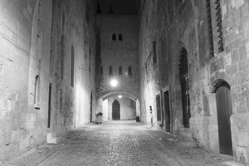 Fototapeta premium Narbonne (France)