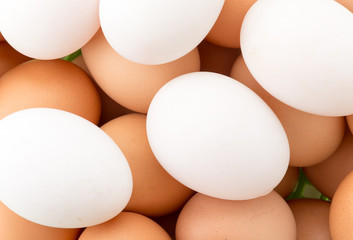 egg in plastic basket
