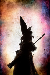 Color silhouette witch