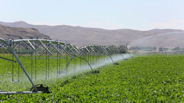 A modern center pivot crop irrigation system waters a field.
