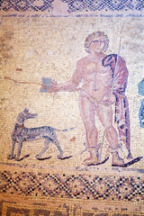 Ancient Mosaics in the Archaeological Site, Paphos, Cyprus