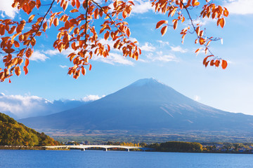 Fototapeta premium Mount Fuji