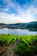 Fototapeta na wymiar am Rhein