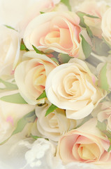 Rose Bouquet with Soft Focus Color Filtered as Background.