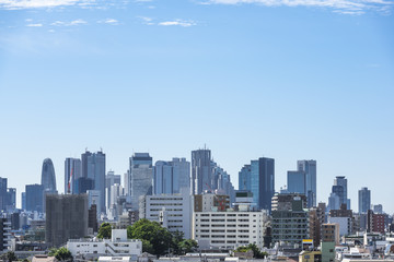 Fototapeta na wymiar 池袋方面から望む新宿の高層ビル群