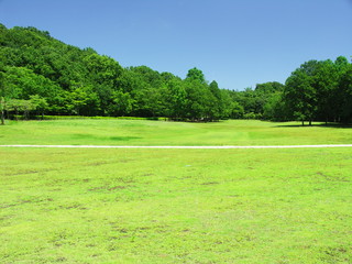 小路のある草原風景
