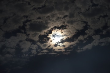 Obraz premium 달빛