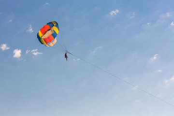 People parasailing over the sea