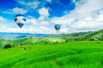 Fototapeta premium Balloon flying on rice field, Rice field in mountain or rice terrace in the nature, Relax day in beautiful location.