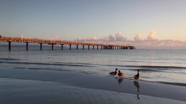 Morning on the Pier in Binz, Ruegen Island, Germany