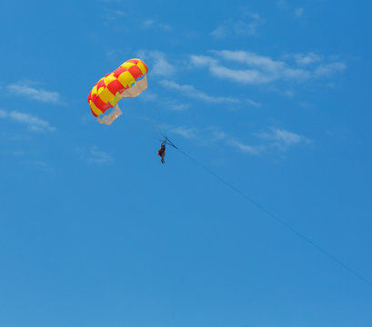 People parasailing over the sea