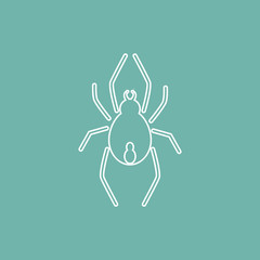 Spider icon