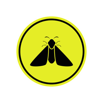 Butterfly icon