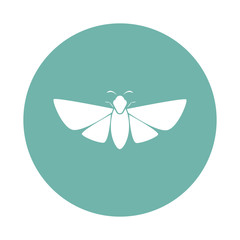 Butterfly icon
