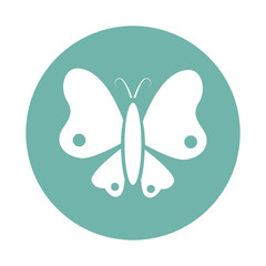 Butterfly icon