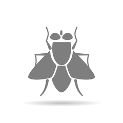 Fly icon