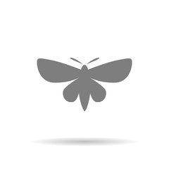 Butterfly icon