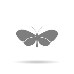 Butterfly icon