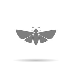 Butterfly icon