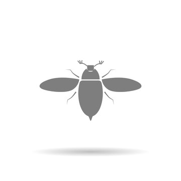 Bug icon