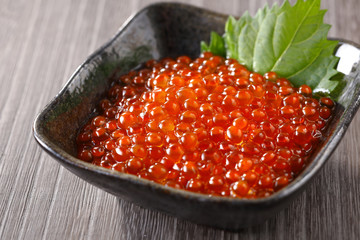 いくらの醤油漬け　Salmon roe