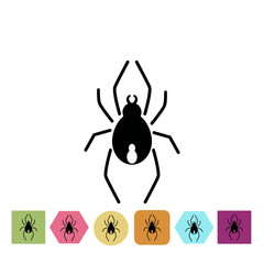 Spider icon