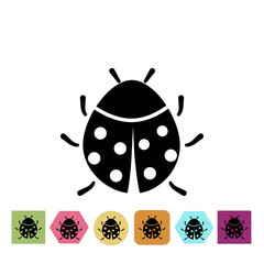 Ladybug icon