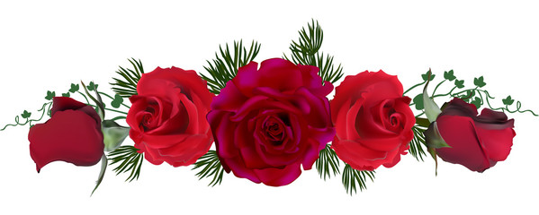 five dark red roses stripe on white