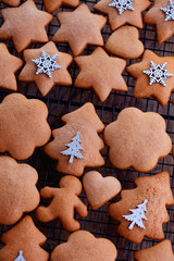 gingerbread cookie