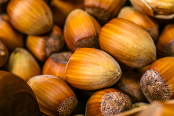 Macro image of hazel nuts