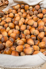 Many hazel nuts in wicker basket