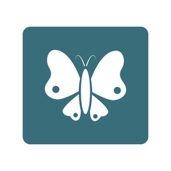 Butterfly icon