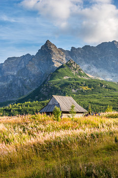 Fototapeta Polish Tatra mountains Hala Gąsienicowa
