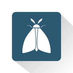 Butterfly icon