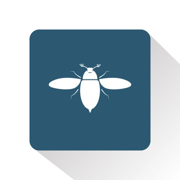 Bug icon