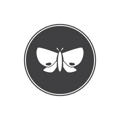 Butterfly icon