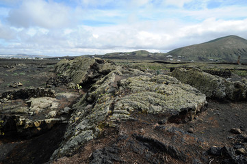 Coulée de lave au Musée du Vin El Grifo à Lanzarote