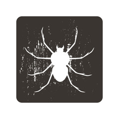 Spider icon